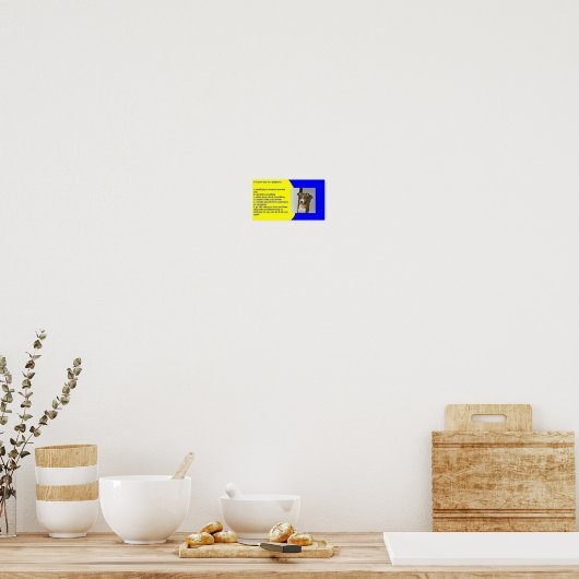 PUBLICATIEREGELS POSTER (Keuken)