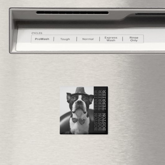 Pucca Magnets B Magneet (Insitu (Vaatwasser))