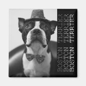 Pucca Magnets B Magneet (Voorkant)