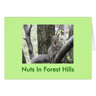 Pucci stakt een pose, noten in bosheuvels