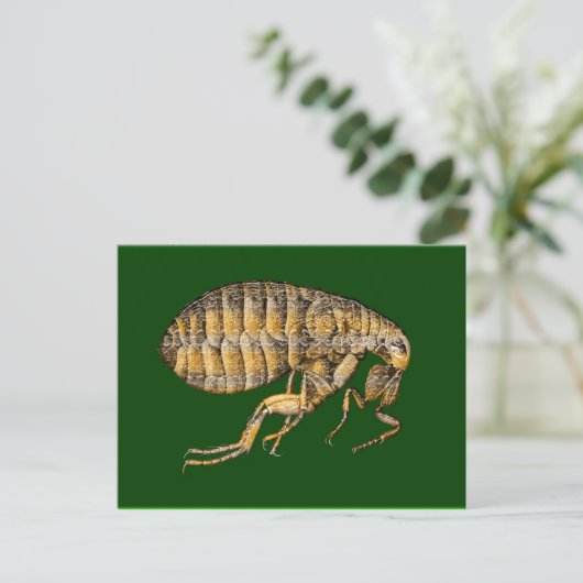 PUCE BRIEFKAART (Staand voorkant)