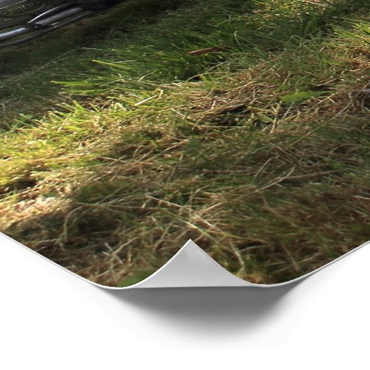 Puch Haflinger Poster (Hoek)