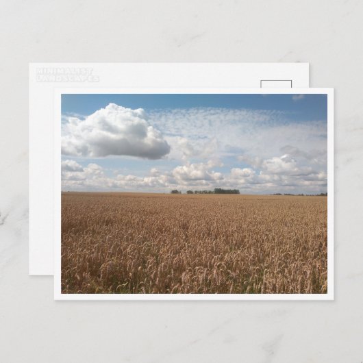 Puck (Polen) Briefkaart (Voorkant / Achterkant)