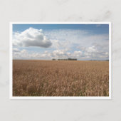 Puck (Polen) Briefkaart (Voorkant)