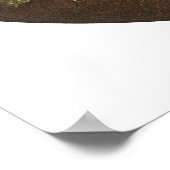 Puck Print van Richard Dadd (Hoek)