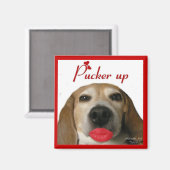 Pucker up Beagle Magnet (Voorkant / Achterkant)