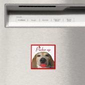 Pucker up Beagle Magnet (Insitu (Vaatwasser))