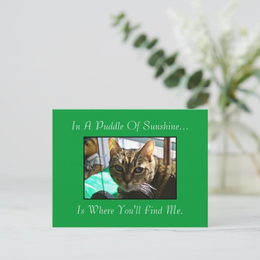 pudding van zonneschijn Briefkaart (Staand voorkant)