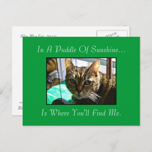 pudding van zonneschijn Briefkaart (Voorkant / Achterkant)