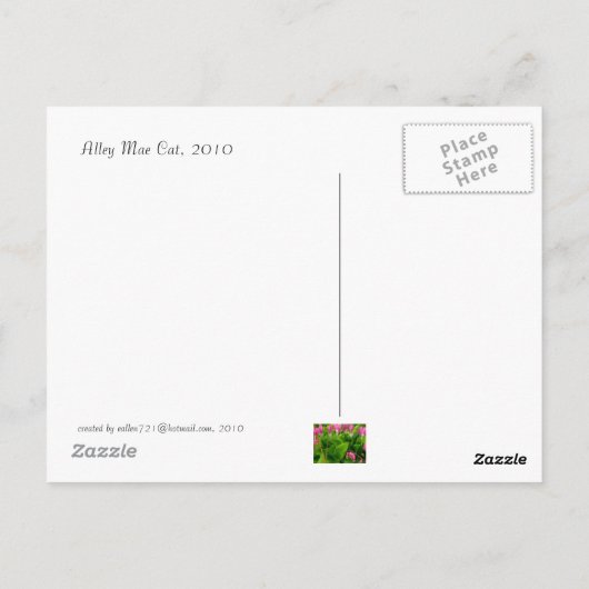 pudding van zonneschijn Briefkaart (Achterkant)