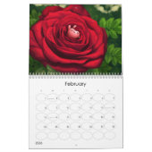 Puddle Bunnies Calendar Kalender (Feb 2026)