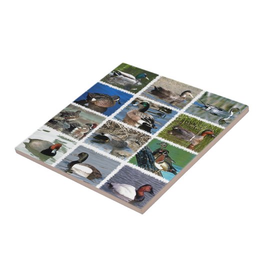 Puddle Ducks Logo Tegeltje (Zijkant)