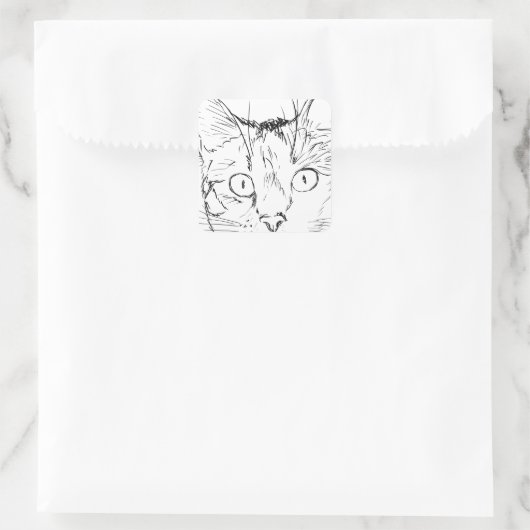 Puddy Cat Vierkante Sticker (Tas)