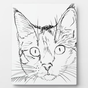 Puddy Kat Fotoplaat