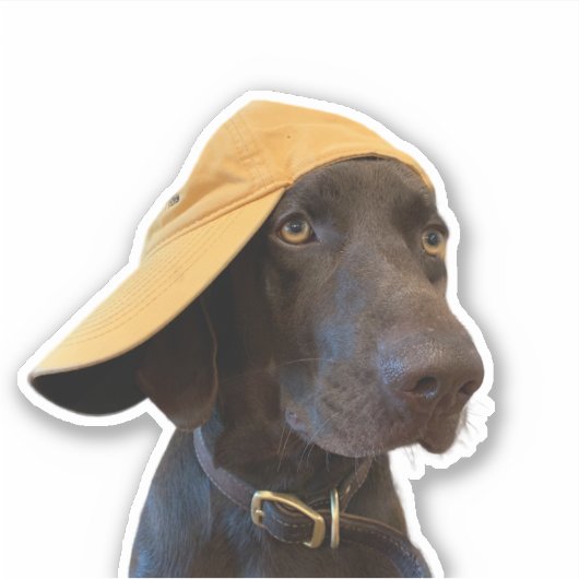 Pudelpointer Dog Vinyl Sticker (Voorkant)
