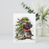 Pudelpointers Briefkaart (Staand voorkant)