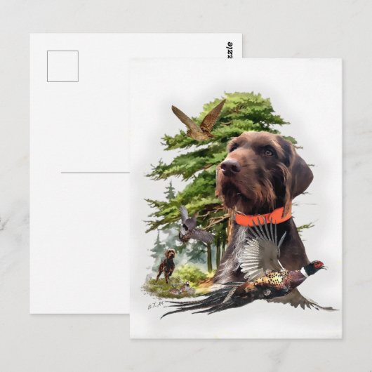 Pudelpointers Briefkaart (Voorkant / Achterkant)