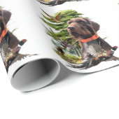 Pudelpointers Cadeaupapier (Rol Hoek)