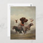 Pudelpointers, jachtfazant briefkaart (Voorkant / Achterkant)