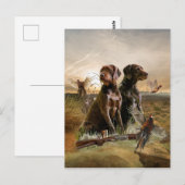 Pudelpointers, jachtfazant briefkaart (Voorkant / Achterkant)