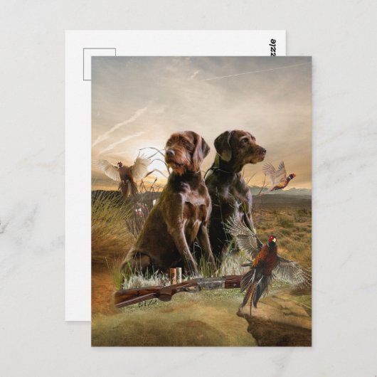 Pudelpointers, jachtfazant briefkaart (Voorkant / Achterkant)