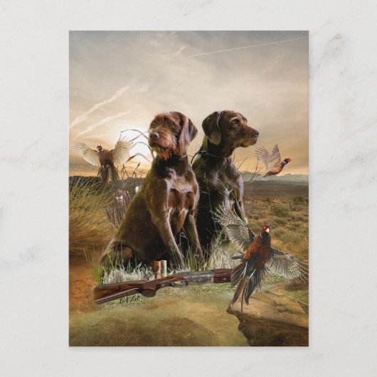 Pudelpointers, jachtfazant briefkaart (Voorkant)