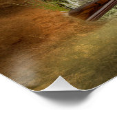 Pudelpointers, jachtfazant perfect poster (Hoek)