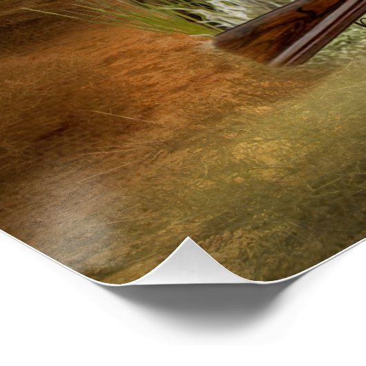 Pudelpointers, jachtfazant perfect poster (Hoek)