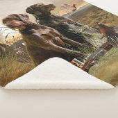 Pudelpointers, jachtfazant sherpa deken (3/4)