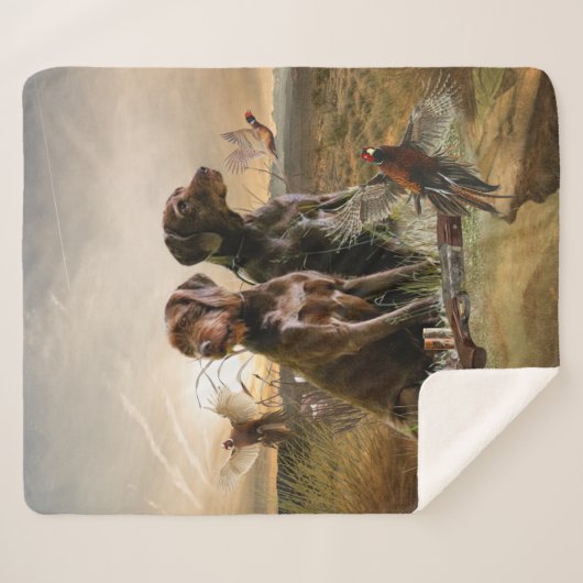 Pudelpointers, jachtfazant sherpa deken (Voorkant (horizontaal))