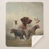 Pudelpointers, jachtfazant sherpa deken (Voorkant)