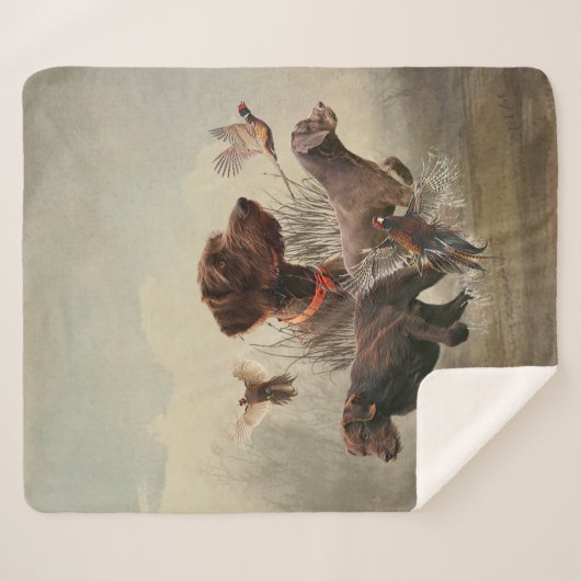 Pudelpointers, jachtfazant sherpa deken (Voorkant (horizontaal))