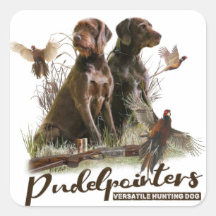 Pudelpointers, jachtfazant vierkante sticker
