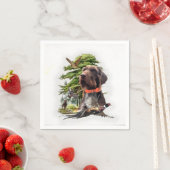 Pudelpointers Servet (Insitu)