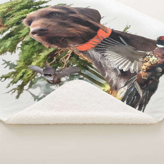 Pudelpointers Sherpa Deken (3/4)