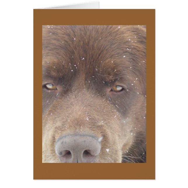 Pudge Beer (Voorkant)