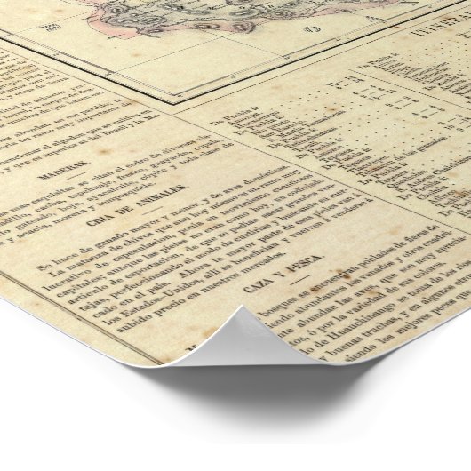 Puebla, Mexico 2 Poster (Hoek)