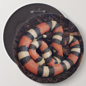 Pueblan Milk Snake Ronde Button 6,0 Cm (Voorkant /achterkant)