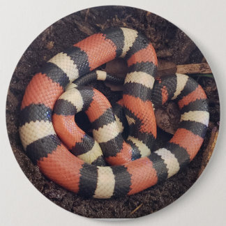 Pueblan Milk Snake Ronde Button 6,0 Cm