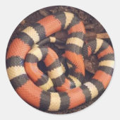 Pueblan Milk Snake Ronde Sticker (Voorkant)