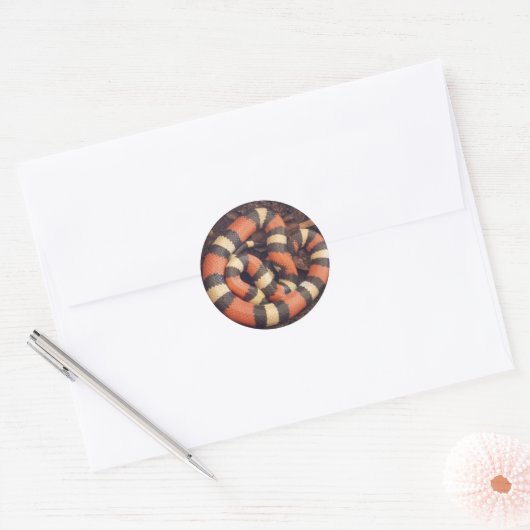 Pueblan Milk Snake Ronde Sticker (Envelop)