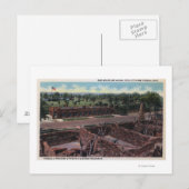 Pueblo, Colorado - Vogelhuis & Dierlijk Briefkaart (Voorkant / Achterkant)