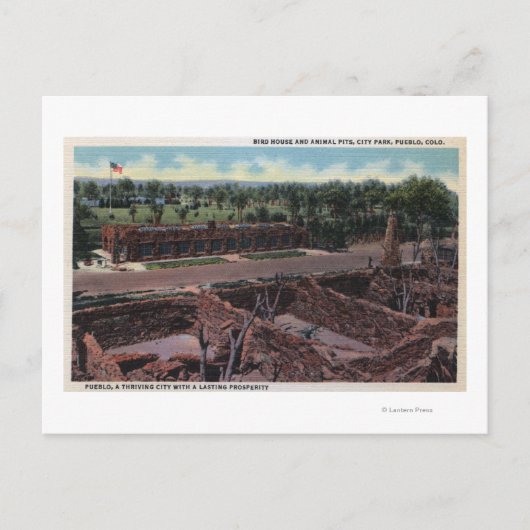 Pueblo, Colorado - Vogelhuis & Dierlijk Briefkaart (Voorkant)