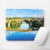 Puente La Reina Muismat (Met muis)