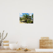 Puerto Banus tuinen Poster (Keuken)