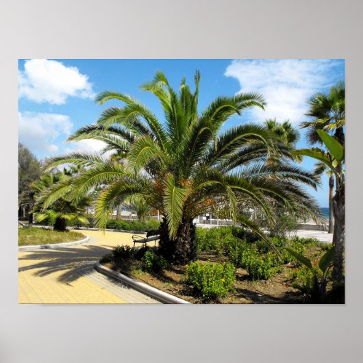 Puerto Banus tuinen Poster (Voorkant)