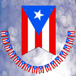Puerto Ricaanse vlag & partij PR banners / bruilof