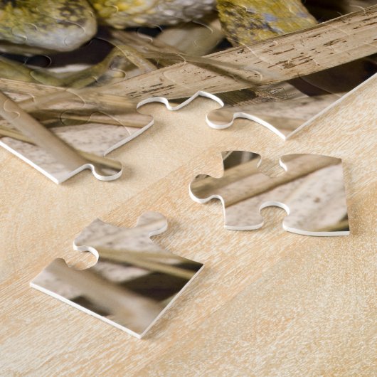 Puerto Rican Crested Toad Legpuzzel (Zijkant)