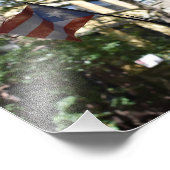 Puerto Rican Pride New York City Brownstone NYC Foto Afdruk (Hoek)