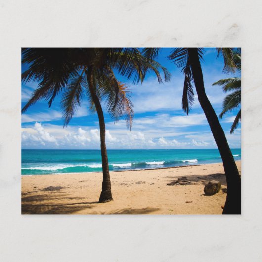 Puerto Rico - Condado Beach Briefkaart (Voorkant)